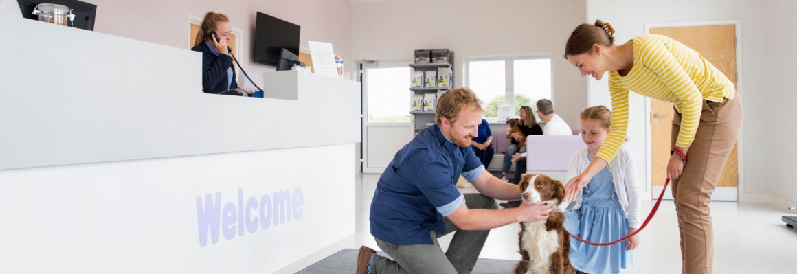 Full-Service Electrical Support for Veterinary Practice